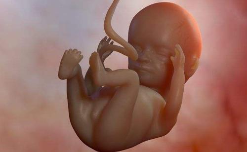 怀孕三个月胎儿有多大?需要注意哪些生活习惯?