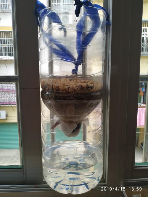小可:塑料瓶 云东:剪刀,把塑料瓶剪开 可欣:过滤纸 好像水滴的很慢很