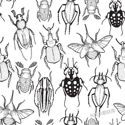 手绘昆虫天牛瓢虫水彩大自然界生物动物高清免抠高像素png素材 84