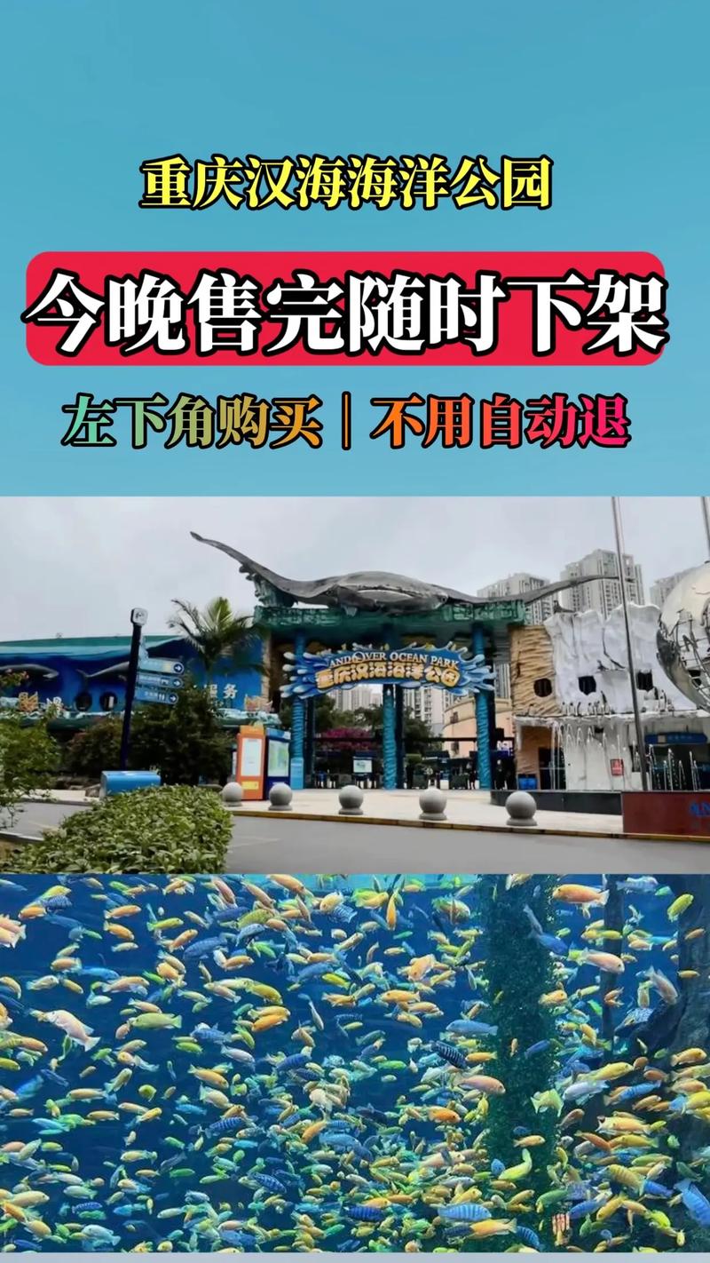 重庆汉海海洋公园#海洋公园游玩攻略#海底世界亲子游攻略