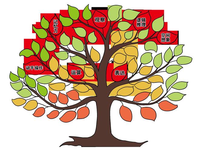 和技能都是有用的,可惜的是她以考证为导向,而非cfo的能力应用为导向