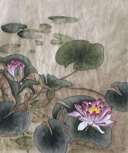 工笔小班课画纪——睡莲