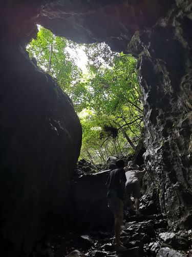 茂兰溶洞小探险_探险_q加·荔波茂兰驴友之家自由行热门攻略_风景_野