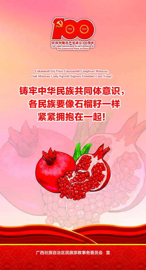 铸牢中华民族共同体意识各民族要像石榴籽一样紧紧拥抱在一起