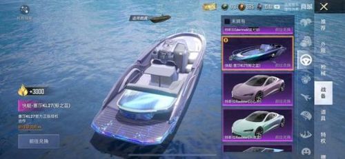 氪度高达4k,性价最低的3币皮肤已经出现了_和平精英