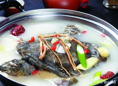 古代战争给人带来影响,楚国王室美食—清炖甲鱼