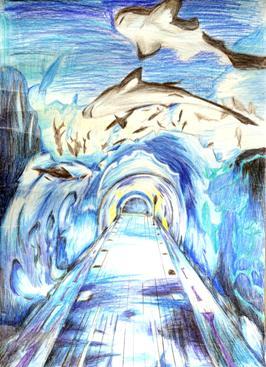 我校成功举办科幻画比赛