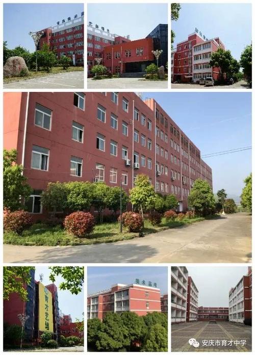 安庆市育才中学2020届艺体高考1号喜报!