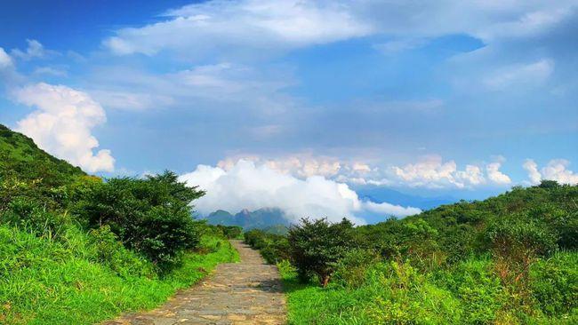 踏春寻茶赏花潮州凤凰山天池玉瑶山庄纯玩一日游198元人每逢周三周日