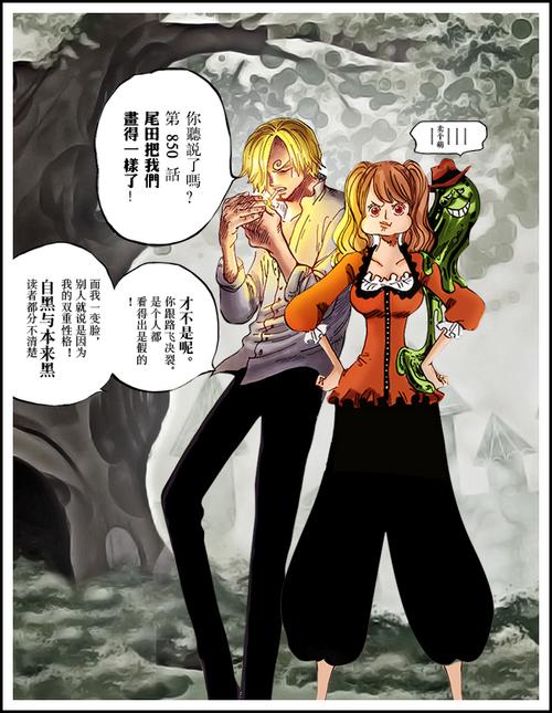 天生一对——山治与布琳的共同之处