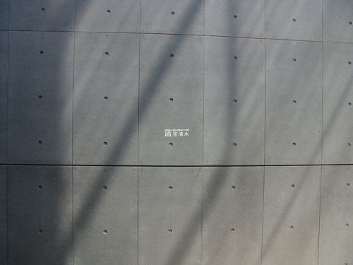 蓝宝清水混凝土挂板的优势及发展