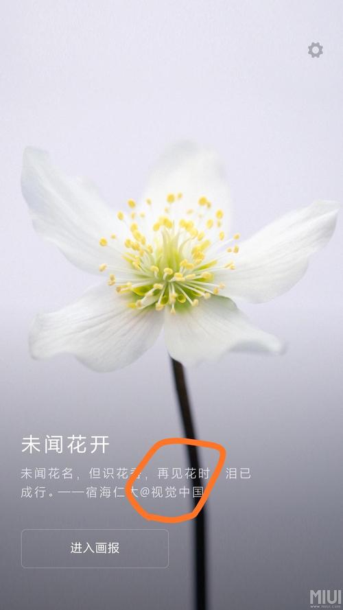 小米锁屏画报,哈哈哈