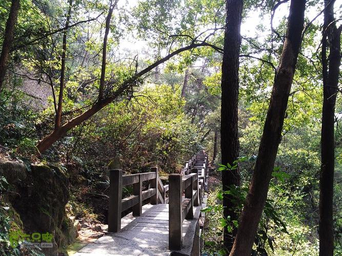鼓山登山道(勇敢者,松之恋)