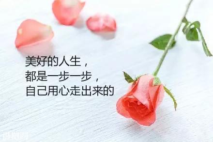 很有个性的励志早安语录超适合发朋友圈