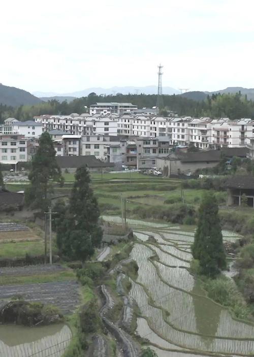 闽侯县大湖乡东姚村,平均海拔800米,山地面积达8662亩,气候温和,雨量