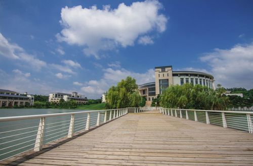 南京审计大学很火爆两百多万网友在线观看招考直播