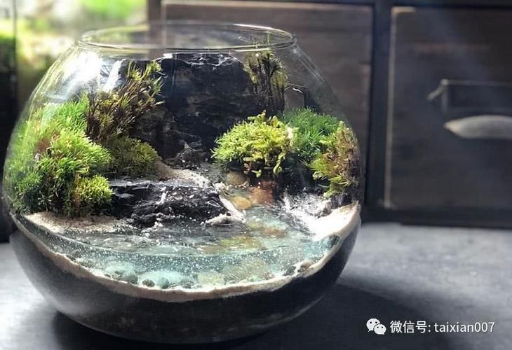 苔藓玻璃瓶微景观作品欣赏