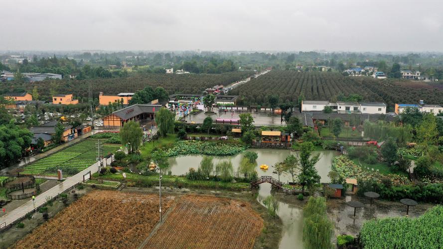 绿动成都能量跑(唐昌镇先锋村)