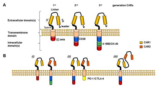 t细胞活化连接蛋白elisa检测试剂盒,人(lat)elisa试剂盒使用说明书