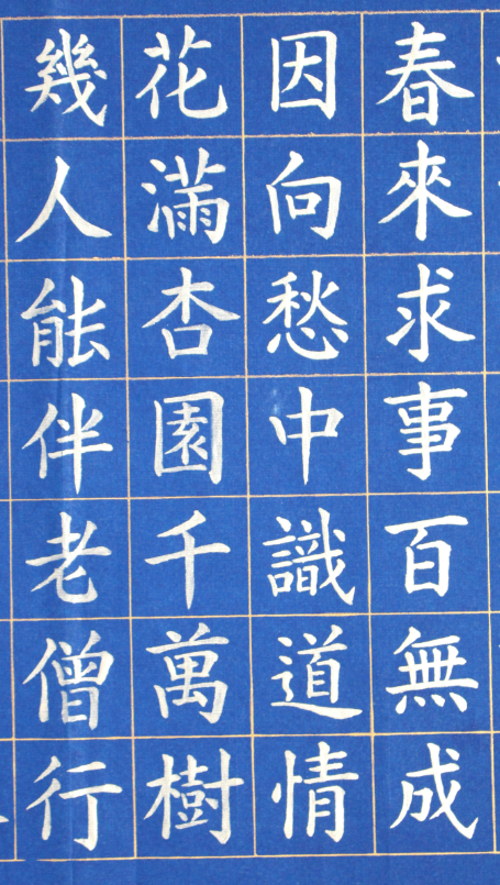 毛笔书法:正楷七言禅诗八首(含局部)