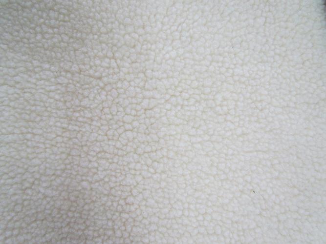 全涤本白色绺子丝羊羔绒新式羊羔毛汽蒸卷毛绒面料