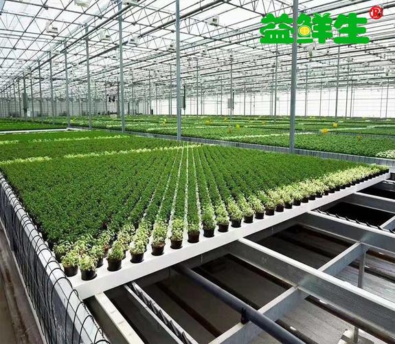 益鲜生牌全自动水培种植机