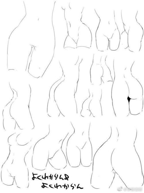 人体骨盆画法参考