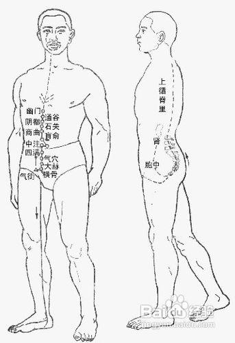 中医经络知识[3]冲脉图解