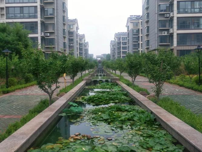 山清水秀|青州城西整洁优美的居住环境在这里