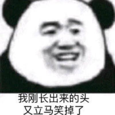 我刚长出来的头又立马笑掉了