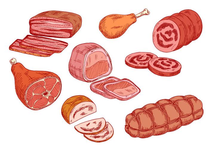 矢量的三明治插画