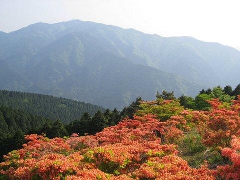 葛城山
