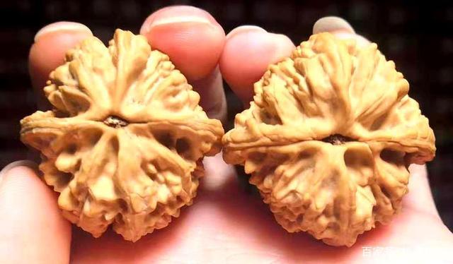 150种文玩核桃品种分享之93:大沽石