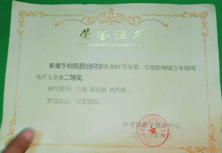 陈嘉怡个人简历