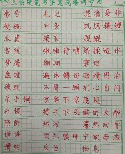 互动吧-小学生规范汉字书写技巧入门与提高