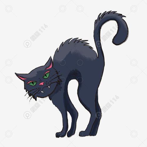 标签:万圣节主题恐怖黑猫插画化妆舞会卡通万圣节西方万圣节创意万圣