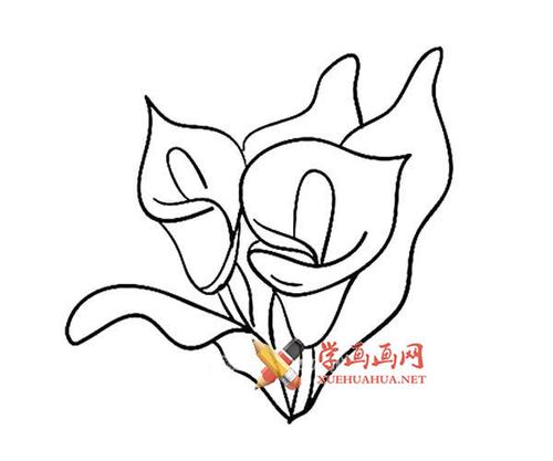 12款漂亮的花朵的简笔画画法大全__植物_大树,花草系列植物简笔画大全