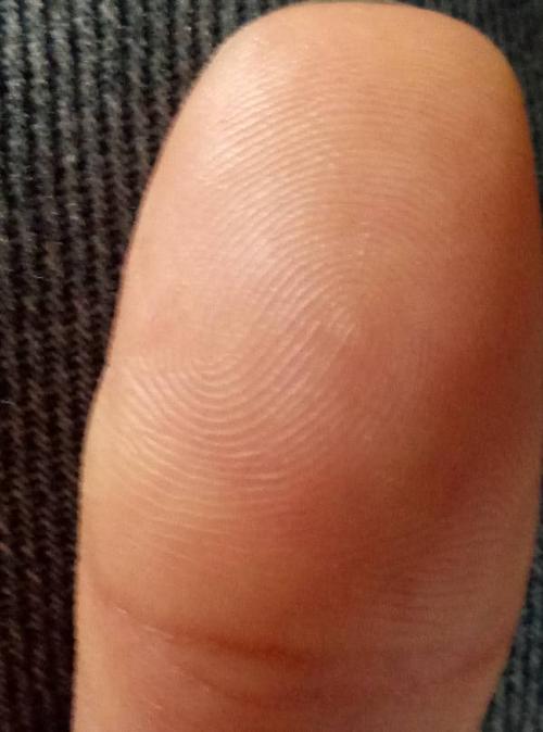 我这个是双箕纹,还是双斗纹?