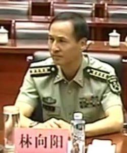 林向阳
