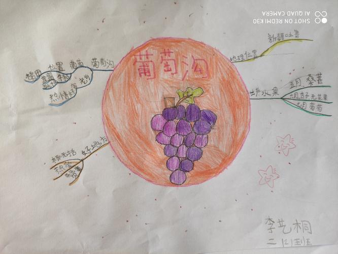 《葡萄沟》思维导图