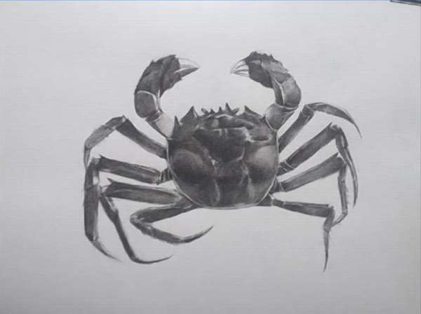 【素描教程】馋死人的大闸蟹