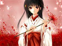illustrations彼岸花