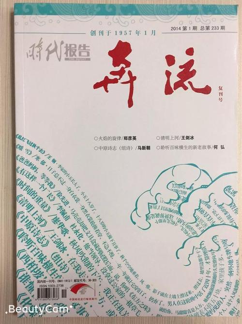 复刊奔流时代报告创刊十年精彩回顾