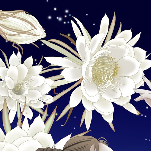 手绘 月下美人 昙花|插画|艺术插画|小草也会笑 - 原创作品 - 站酷