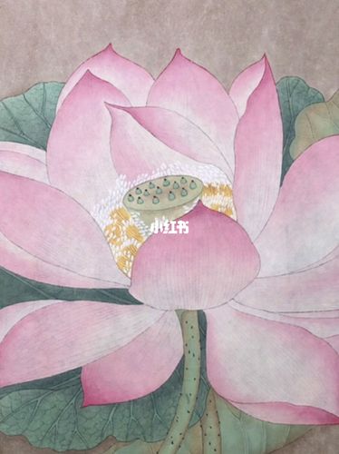 工笔画《出水芙蓉图》_工笔画_我的第一篇笔记_文化