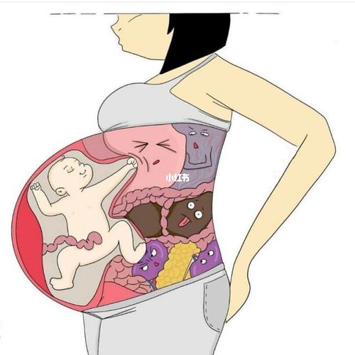 孕期一边肋骨疼算什么?_孕期_孕期日常_母婴_孕产经验