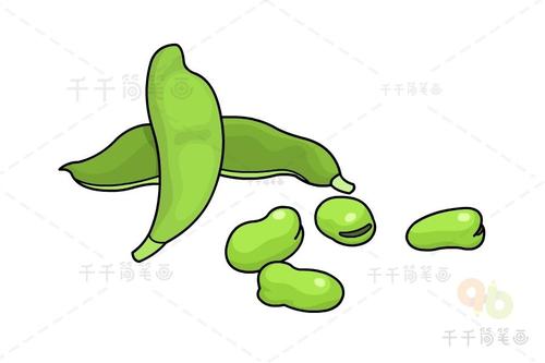 蚕豆简笔画画法