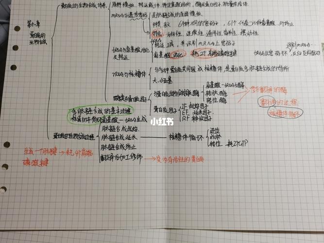 生物化学基础知识_化学_精华_代谢_学习_手写_思维导图_教育_教育其他