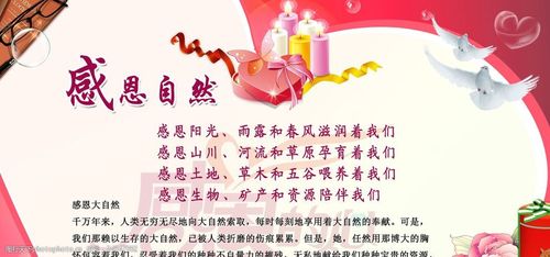 感恩自然感恩社会校园文化