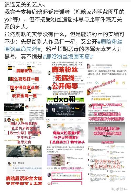 你见过哪家的粉丝最不理智?